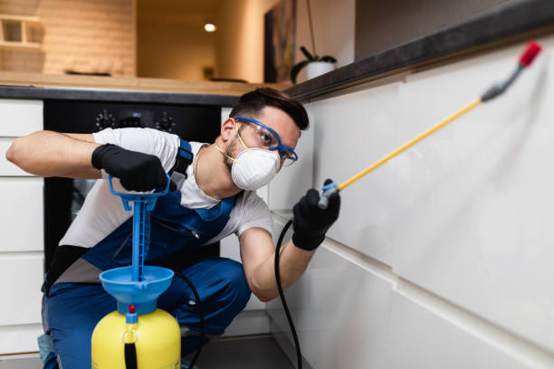 Best Rat Extermination Near Me  in Clarkson Valley, MO