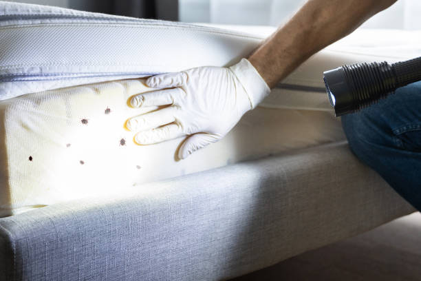 Pest Control Cost in Clarkson Valley, MO